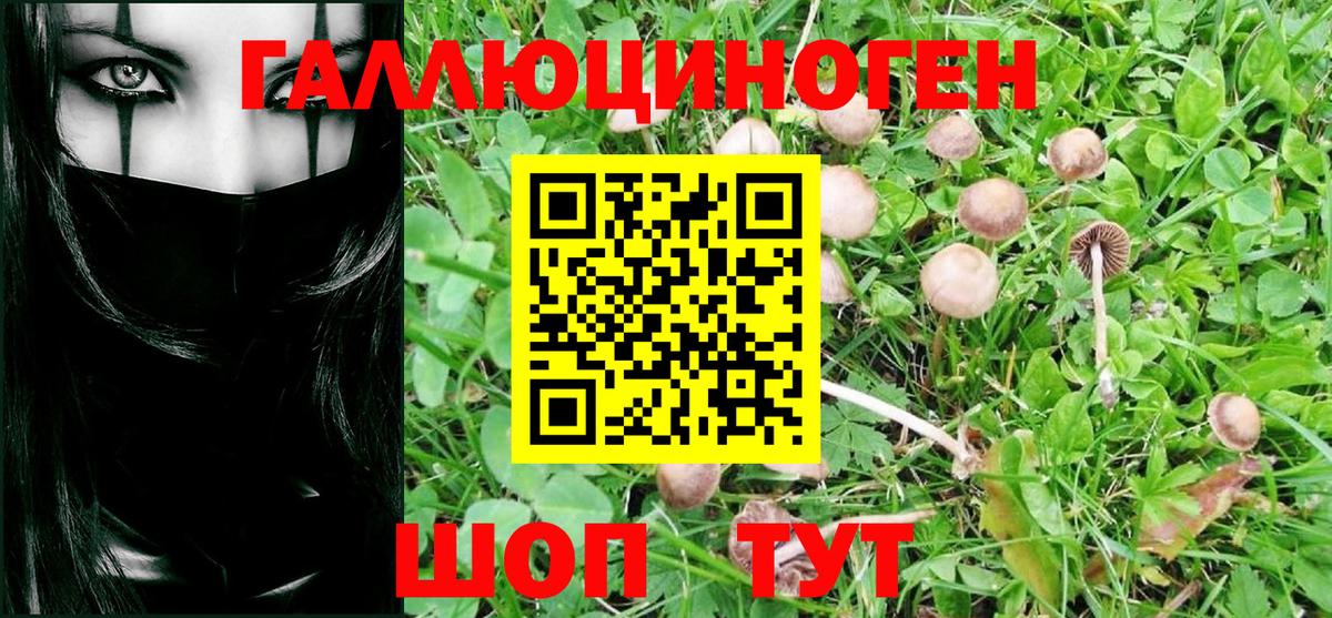 Псилоцибиновые грибы GOLDEN TEACHER Сочи