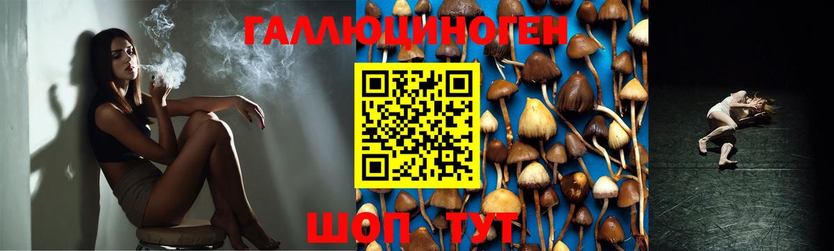 Сочи  Псилоцибиновые грибы прущие грибы  Вход с VPN  Псилоцибиновые грибы мицелий 